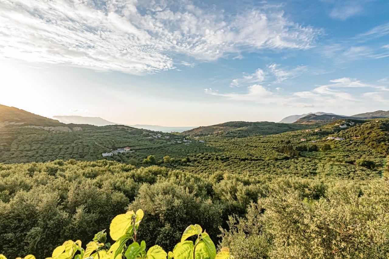 Rikanthos Stone Sea View Apartment Ι Faleliana Luaran gambar